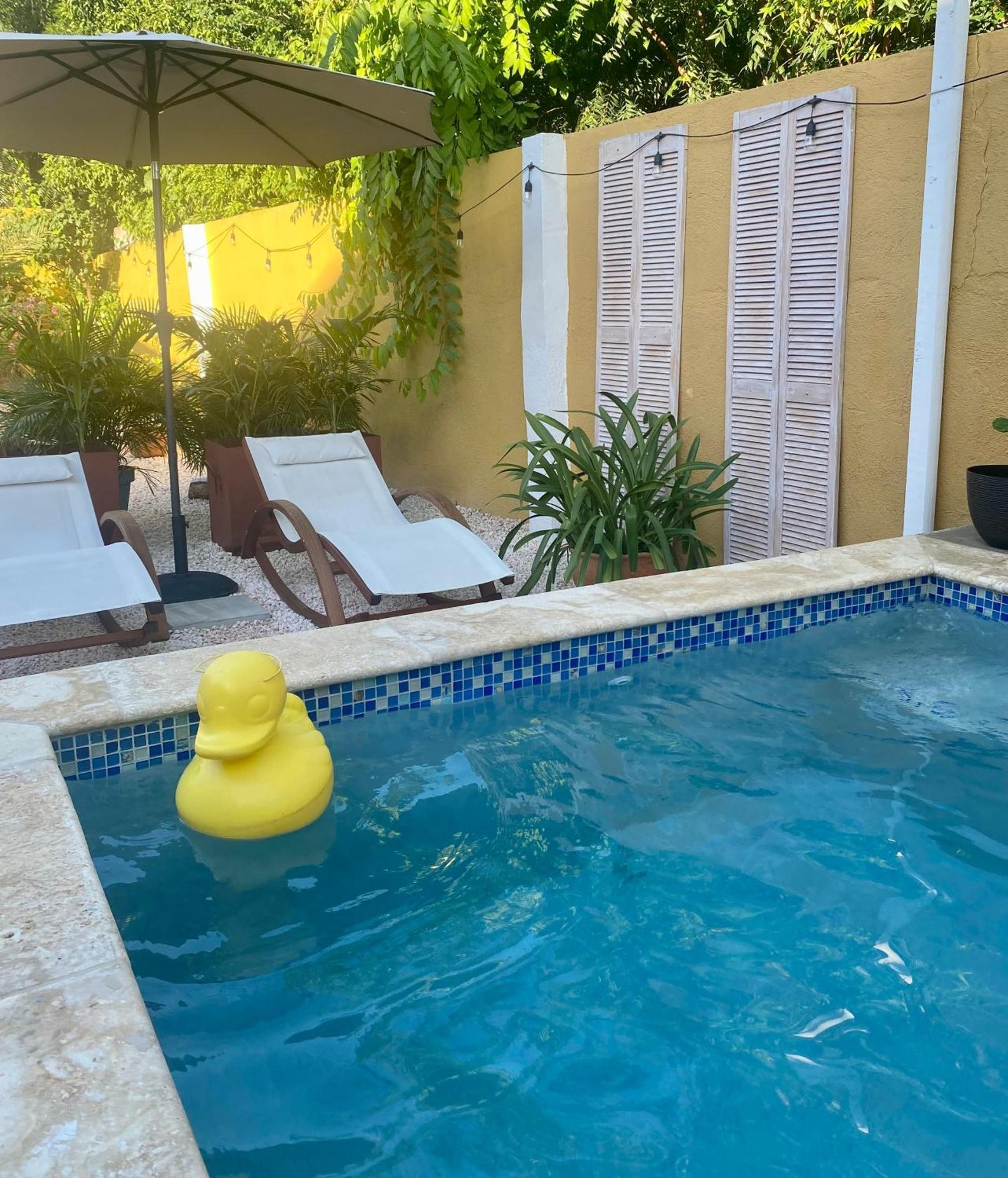 Historic Building The Palm Backyard Studio-Apartment Willemstad, Curacao Feel Home Away From Home מראה חיצוני תמונה